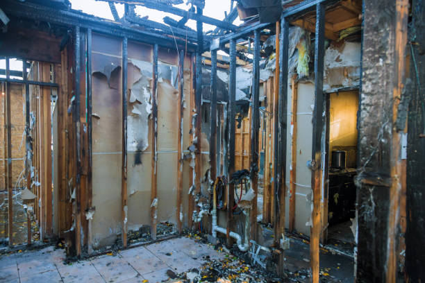 Professional Fire Damage Repair technician working in Colusa, CA